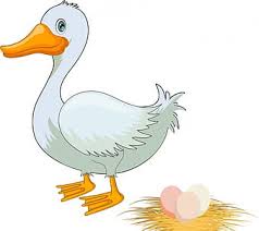 Kumpulan gambar topi kartun hitam putih galeri kartun. Kata Kunci Grafis Kartun Bebek Dengan Uidownload