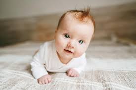 My son was born with medium brown hair at 5 weeks old his hair started to get a ginger cast to it now at 5 months old its looking. 3 857 Baby Ginger Hair Photos Free Royalty Free Stock Photos From Dreamstime