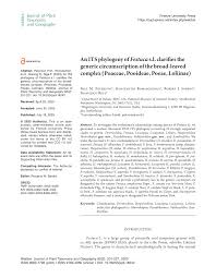 Image result for Pseudobromus engleri