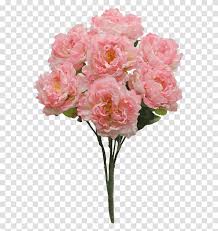 We did not find results for: Pink Peony Bush X7 Sale Item Peony Plant Flower Blossom Carnation Transparent Png Pngset Com