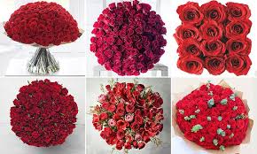 We did not find results for: Aldi And Lidl Are Selling 100 Red Roses For Valentine S At A Bargain Price Daily Mail Online