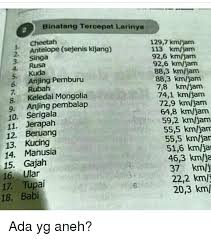 Check spelling or type a new query. 25 Best Memes About Jam Jam Memes