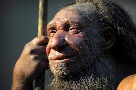 Alternative zum eeg ist der nachweis des vollständigen erliegens der hirndurchblutung mittels dopplersonografie oder zerebraler perfusionsszintigraphie. Vorfahren Halfte Der Neandertalergene Haben Uberlebt Science Orf At