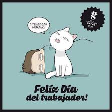Es común bautizarlos con alusiones a una característica física, a su personalidad (si es tierno, inteligente, guerrero), pero también como homenaje a un felino. Feliz Dia Del Adopcion Gatos Cordoba Argentina Facebook