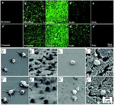 Outward #8 сделаем мир во всём мире 0001. Bioinspired Surfaces With Wettability For Antifouling Application Nanoscale Rsc Publishing
