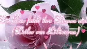 Falls im eifer des gefechts eine nachricht. Die Beste Gluckwunsche Zur Rosenhochzeit Ehejubilaum Hochzeitstag Cute766