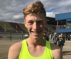 Lansing area boys cross Dream Team, all-area