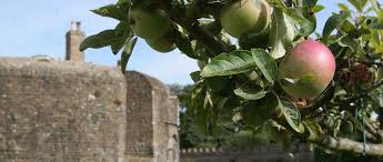 A very ancient fruit tree, the first specimens were thought to have been planted by king james i in 17th century london. Conserving England S Declining Orchards English Heritage