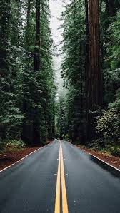 Iphone X Wallpaper Hd 1080p Download Tecnologist Forest Wallpaper Iphone Forest Wallpaper Landscape Photography Widescreen & ultrawide desktop & laptop : forest wallpaper landscape photography