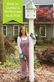 Use these free diy bird house plans and bird feeder plans to attract bluebirds, chickadees, flickers, finches, house sparrows, hummingbirds, kestrel, nuthatches, owls, purple martins, swallows, thrushes, warblers, woodpeckers, wrens, and other birds to your garden. How To Install A Birdhouse On A Post