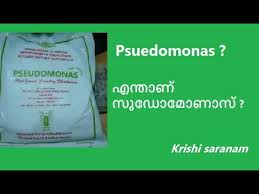 How to use flood in a sentence. Aquaponics Meaning In Malayalam Aquaponic