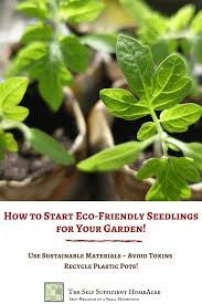 Soil is the basis of any garden, especially sustainable ones when you don't want to use a lot of chemical fertilizer. How To Start Eco Friendly Seedlings For Your Garden The Self Sufficient Homeacre