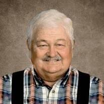 Terry Lynn David Obituary