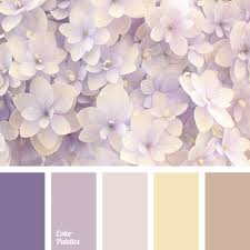 They are the reds, yellows, and blues. Purple And Brown Colors Color Palette Ideas