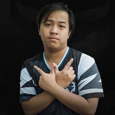 Dota 2 Player Erice