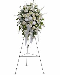 Maybe you would like to learn more about one of these? Sentiments Of Serenity Spray Heart 2 Heart