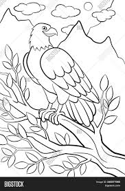 Bald eagle coloring coloring pages are a fun way for kids of all ages to develop creativity, focus, motor skills and color recognition. Coloring Pages Wild Vector Photo Free Trial Bigstock