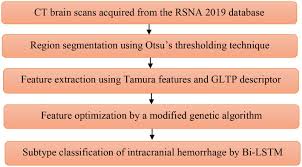 Image result for Hemorrhage Classification