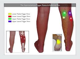 Pin On Reflexology