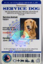 Service Dog Id Custom Holographic Service Dogs Dog Id Therapy Dogs