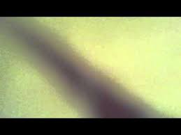 Image result for "Universidad Fernando Noveno"