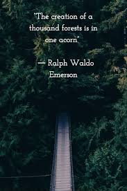 The Creation Of A Thousand Forests Is In One Acorn Ralph Waldo Emerson Nature Quotes Emerson Quotes Daily Meditation Quotes