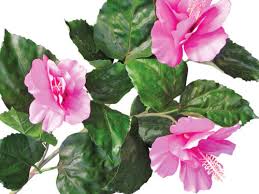 Maybe you would like to learn more about one of these? Hibiscus Plant Artificial Silk Hibiscus Flowers Commercial Silk
