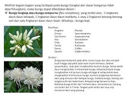 We did not find results for: Struktur Dan Perkembangan Tumbuhan 1 Angyospermae Dicotyledonae Ppt Download