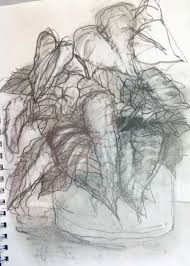 Note — silk has sound. B Step 1 Pencil Drawing Creative Art Courses