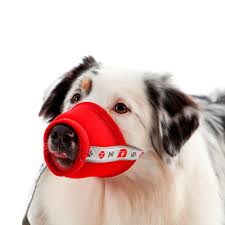 A parte se desenvolveu mais tarde. Focinheira Conforto Para Contencao Linha Petmed