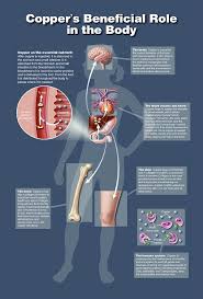 Image result for Copper Poisoning