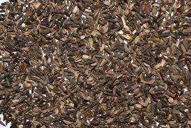 Image result for Vernonia ringoetii