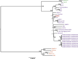 Hp care pack central allows you to quickly and easily identify care pack services for your hp products. Origin And Health Status Of First Generation Africans From Early Colonial Mexico Sciencedirect