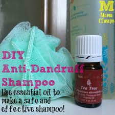Diy Anti Dandruff Shampoo With Essential Oil Mama Cheaps Essential Oil Shampoo Anti Dandruff Shampoo Dandruff Essential Oil