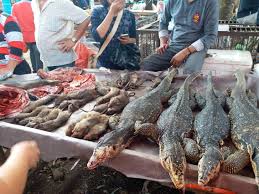 Coronavirus: Live animal markets and wildlife trade continue in Asia amid  growing calls for crackdown | The Independent | Independent