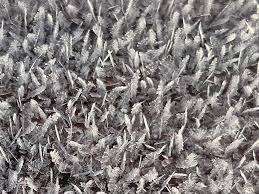 Another view of the meteor/fireball tonight around 8:40p CT… video from Layton  Powell in Tuscaloosa