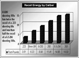 6br Vs 223 Rem And 308 Win Recoil Comparison Daily