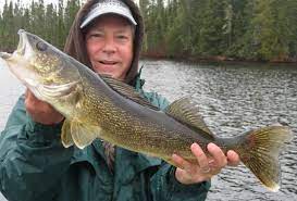 Understanding Different Walleye Patterns Walleye Bass Fishing Shirts Walleye Fishing
