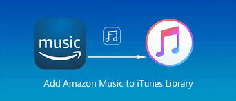 The Best Way To Help You Transfer Amazon Music To Itunes By Paris Young Medium
