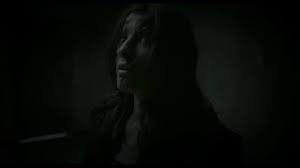 Daniella alonso, jacob vargas, michael bailey smith, cécile breccia. Book Haven Movies That Suck Chernobyl Diaries