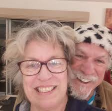 Where to get pullets for chickens?