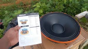 revew speaker ashley oren 12 inch mf-1230 midel centang centung ‼️