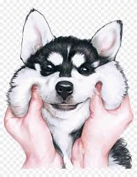 We did not find results for: Siberian Husky Wallpaper Png Download Transparent Png 1103x1365 835571 Pngfind
