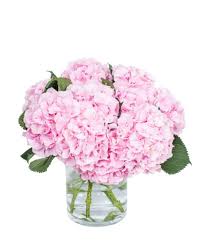 Send flower arrangement created using hydrangea available for delivery in orange county california by everyday flowers. Send Hydrangea Bouquets To Friends Loved Ones Fbf10 For 10 Off