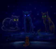 #art #graystripe #warriors graystripe #firestar #warriors firestar #fireheart #warriors fireheart #warrior cats #warriorcats #also im suprised i havent seen a super dark gaystripe design yet. Graystripe Warrior Cats Wallpapers Wallpaper Cave