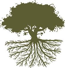 Silhouette of a tree with roots and leaves in circle. Silhouette Of A Big Oak Tree With Deep Roots Tree Graphic Vector Art Illustration Free Vector Art