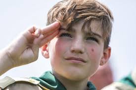 Photos: Scouts from the Greater St. Louis Area Council plant flags for  Memorial Day