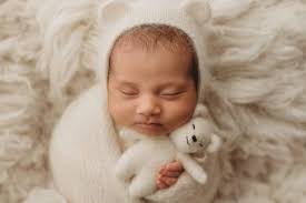 Say hello to five new Dorset arrivals