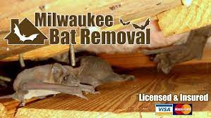 Maybe you would like to learn more about one of these? Milwaukee Bat Removal Home Facebook