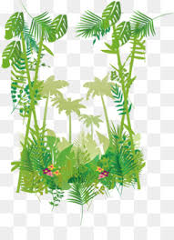 Tropical rainforests typically receive between 1.5 m to 4 m of rainfall each year. Tropical Rainforest Png Tropical Rainforest Animals Tropical Rainforest Biome Cleanpng Kisspng